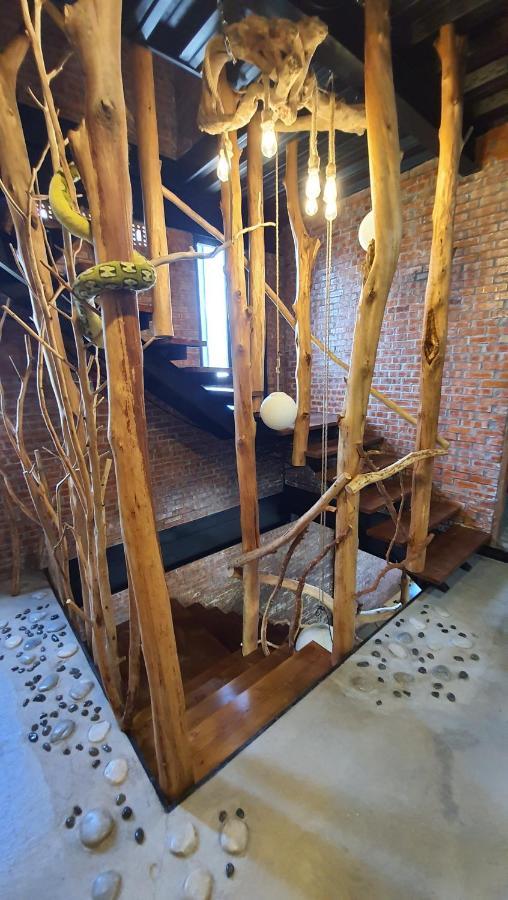 缽割貓點點 青旅 Diandian Hostel Puli Exterior photo